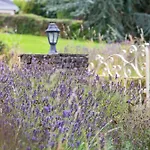 Mountshannon Cottage * Mountshannon