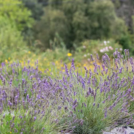 Mountshannon Cottage 아파트 *