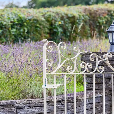 아파트 Mountshannon Cottage *