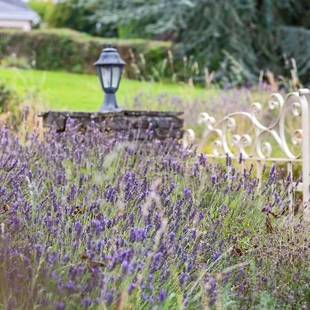 Mountshannon Cottage * 마운트섀넌