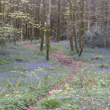 Mountshannon Cottage