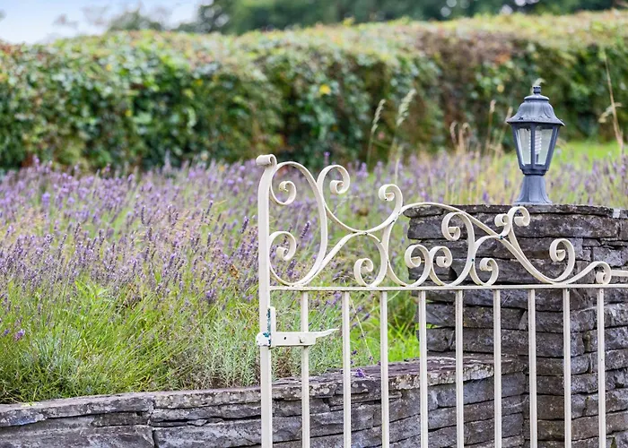 Appartamento Mountshannon cottage *